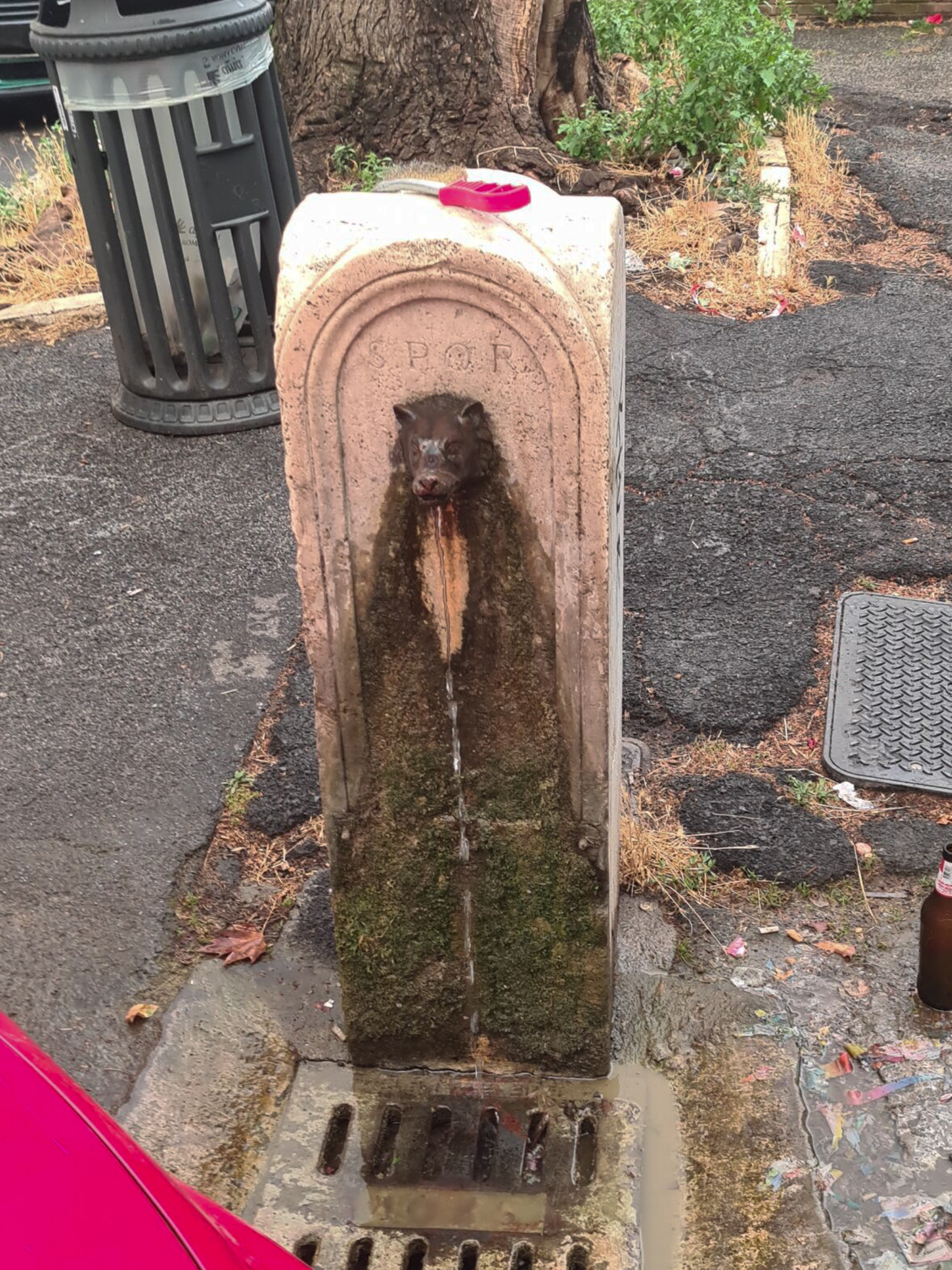 20250618_201812-scaled-2 20250618_201812-scaled-2